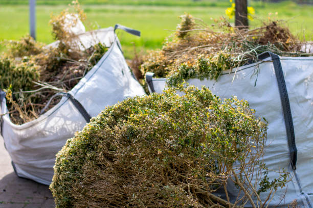 Best Affordable Junk Removal Services  in Blue Point, NY